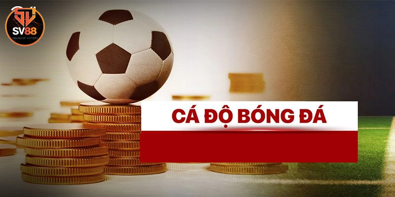 Những loại kèo phổ biến khi cá cược bóng đá Sv88