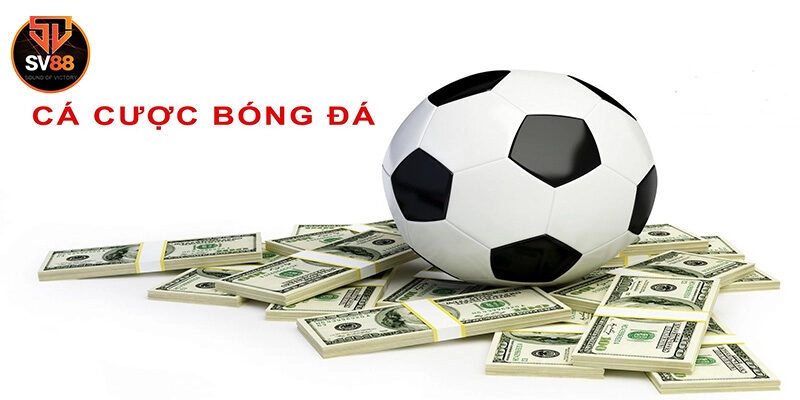 Bí kíp chơi cá cược bóng đá dễ thắng từ cao thủ